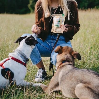 Vegdog Hondensnack - Wortel - Veganistisch