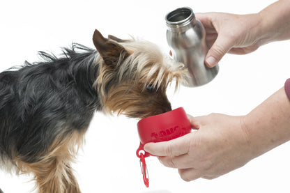 Trinkflasche für Hunde – Nachhaltig – Verschiedene Varianten