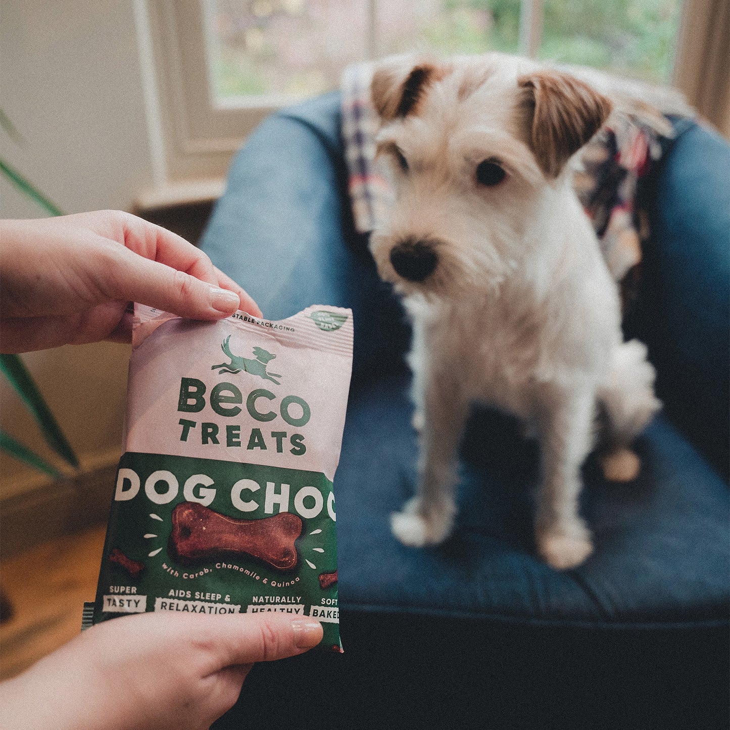 Kalmerende Hondensnacks - Dog Choc - Beco