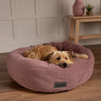 Luxuriöses Hunde- und Katzenbett – skandinavisches Design – verschiedene Varianten