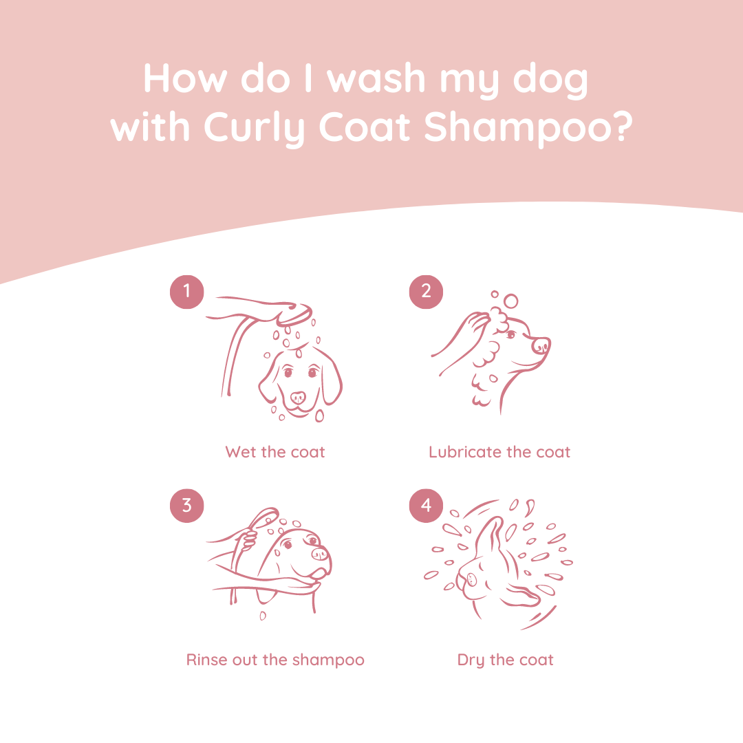 Hundeshampoo – Curly Dogs – Naturprodukt – 270 ml