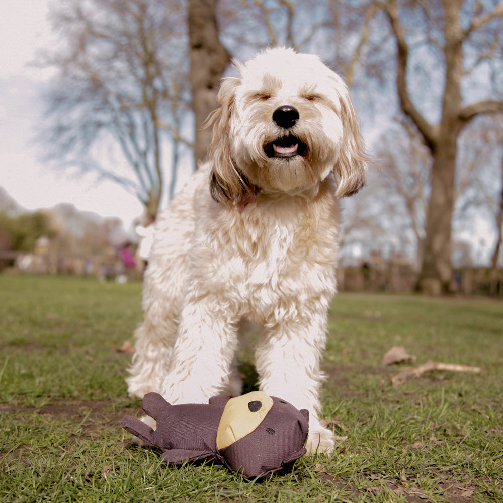 Hundekuschelbär - Recyceltes Material