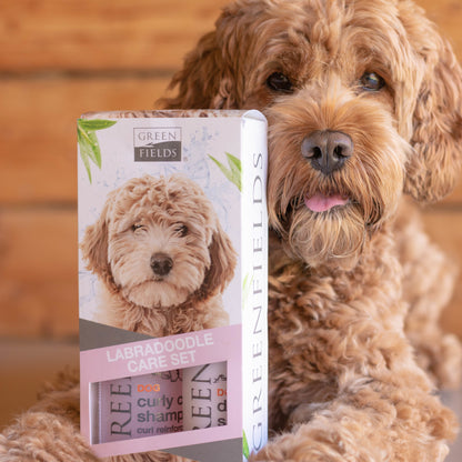 Labradoodle-Pflegeset – Shampoo und Entwirrungsspray