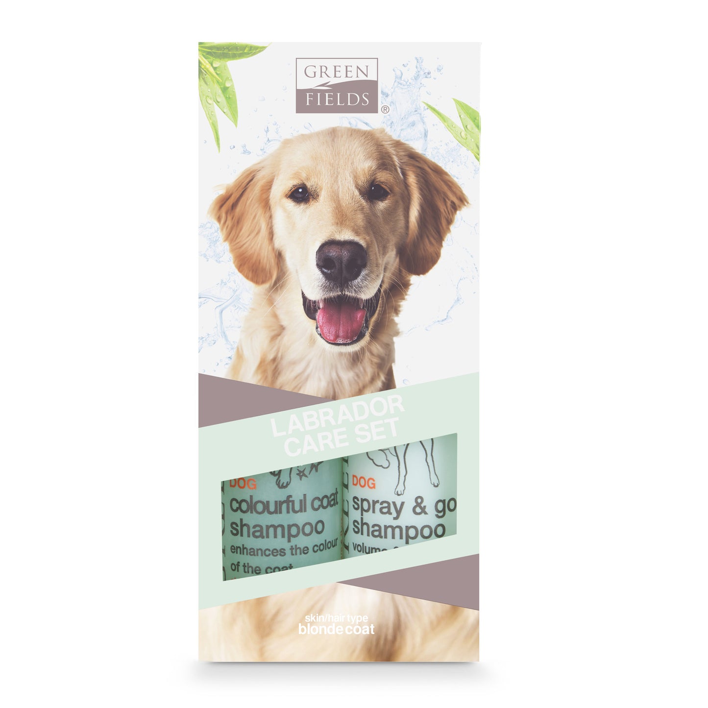 Labrador-Pflegeset - Blond - Greenfields