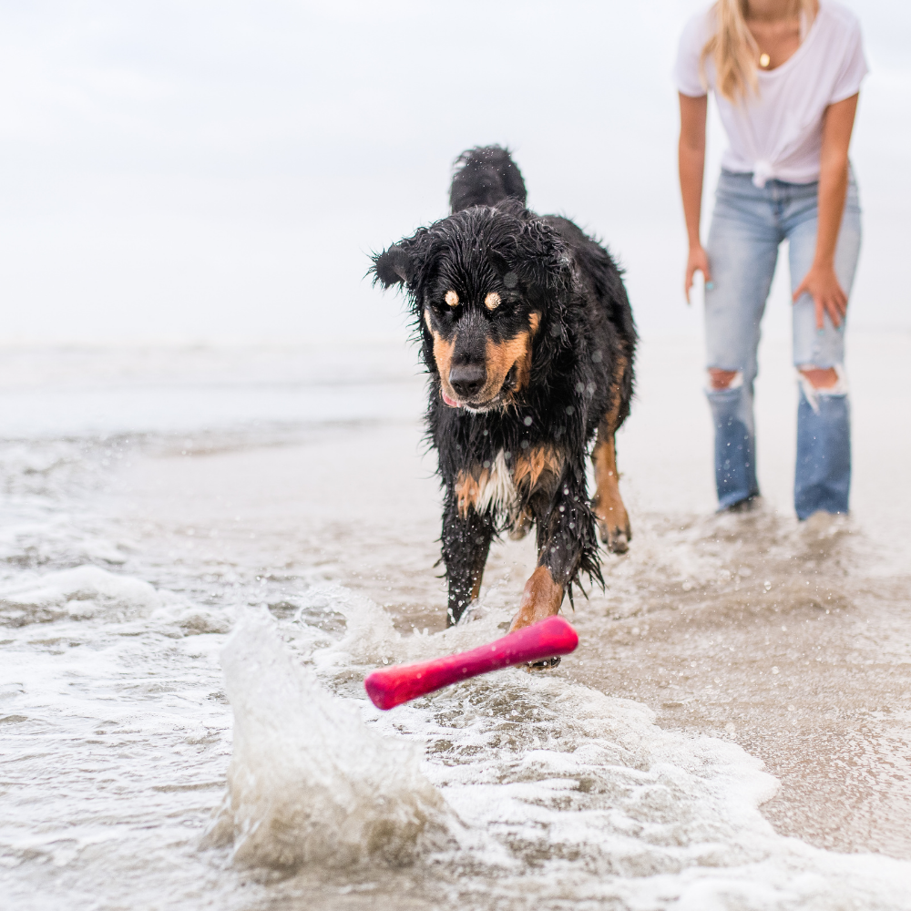 Hondenspeeltje - Drijvende Stok - Oceaan Plastic