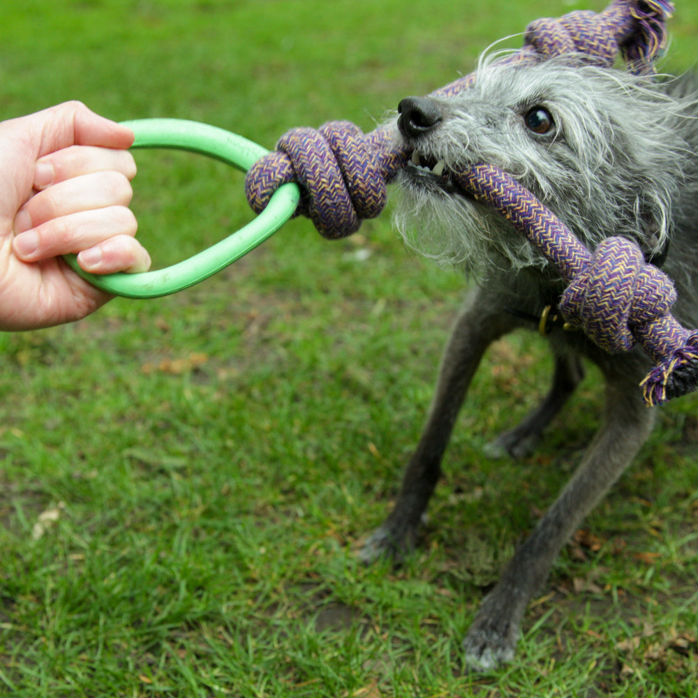 Hundespielzeug - Seil mit Ring - Langlebig - Verschiedene Varianten