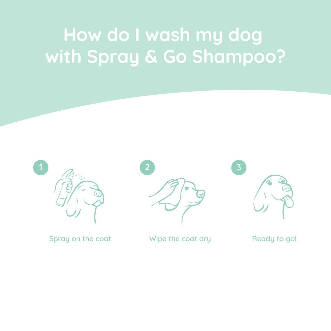 Trockenshampoo für Hunde – Spray &amp; Go – Natürlich