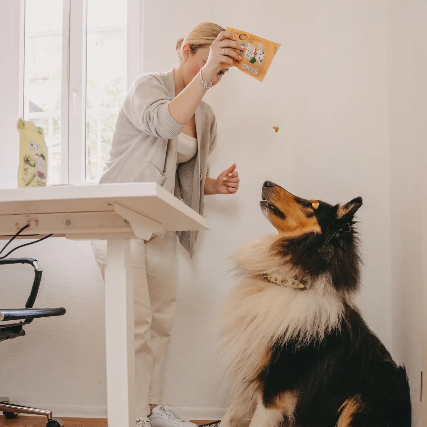 Veggie Hondensnacks - Versterkt de Weerstand - Veganistisch