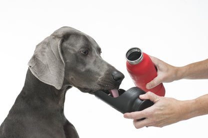 Wasserflasche für Hunde – Verschiedene Farben – Vollständig recycelbar