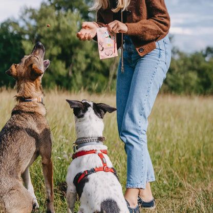 Vegdog Hondensnoepjes - Veganistisch & Duurzaam geproduceerd